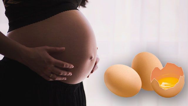 eggs in pregnancy